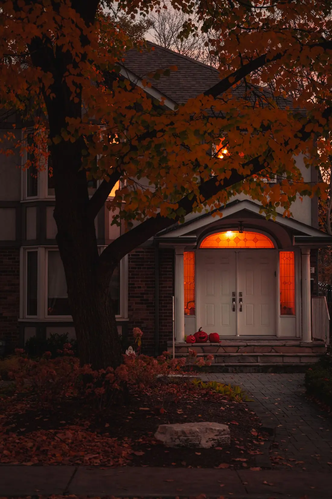 Front entry glowing at dusk under a red maple