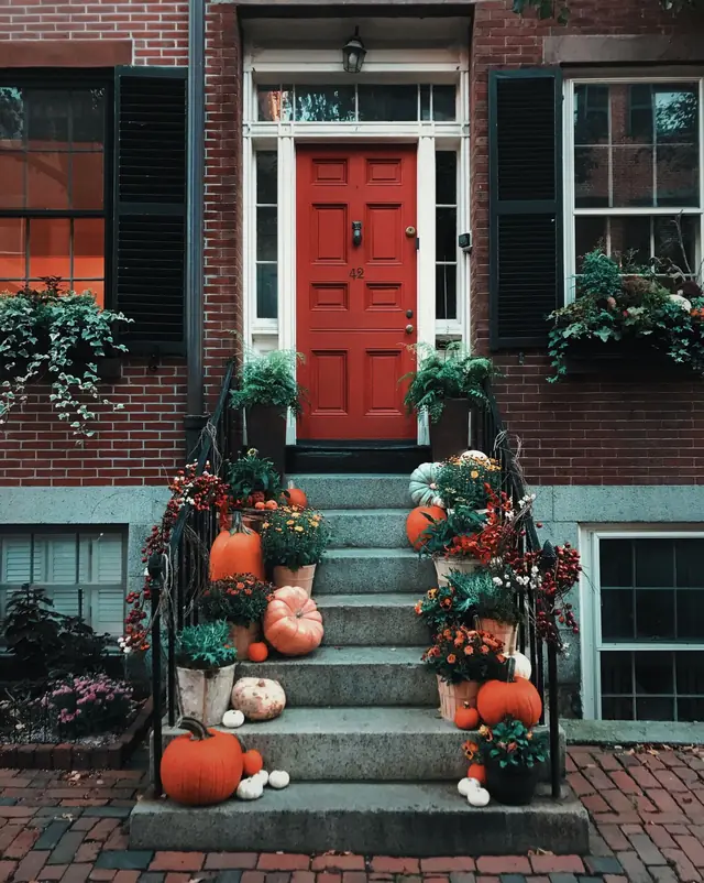 Front steps lined with potted mums and pumpkins beside a red door